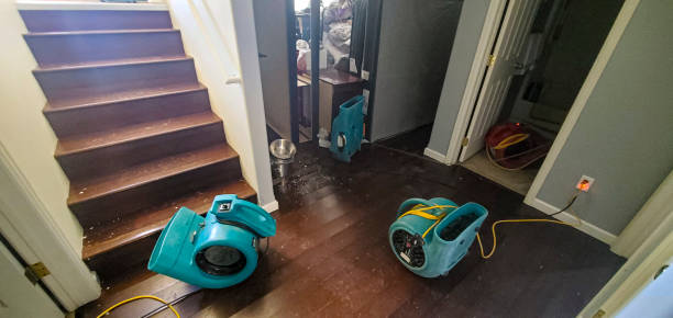 Best Water damage restoration near me  in Bertville, AL