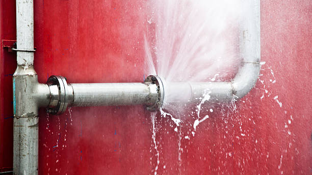 Best Ceiling water damage repair  in Bertville, AL